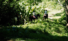Costa Rica-Caribbean Coast-Caribbean Adventure Ride